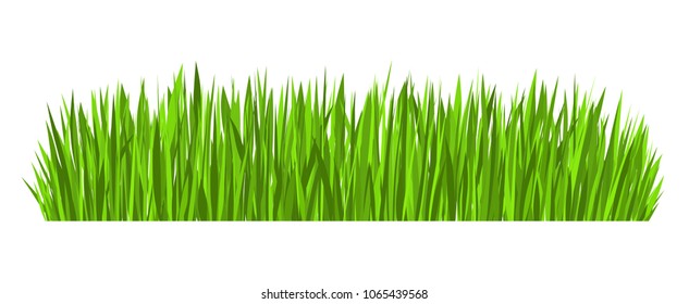 Green grass border (vector design element isolated on white background)