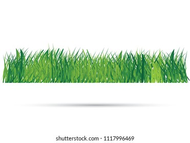 Green Grass Border, Vector Illustration