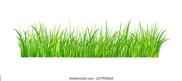 Green Grass Border, Vector Illustration - Vector - Vector