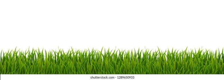 Green Grass Border, Vector Illustration