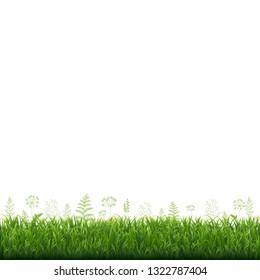 Green Grass Border, Vector Illustration