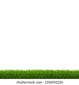 Green Grass Border, Vector Illustration