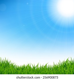 Green Grass Border, Vector Illustration