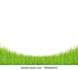 Green Grass Border, Vector Illustration