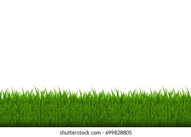 Green Grass Border, Vector Illustration