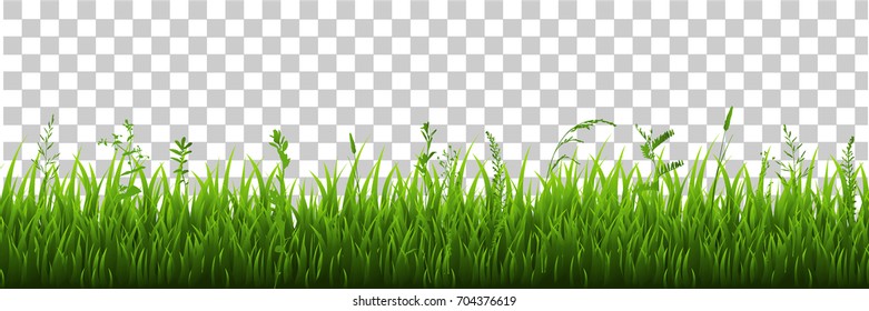 Green Grass Border, Vector Illustration