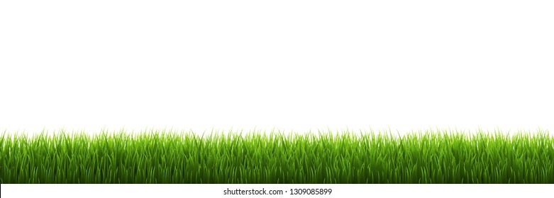 Green Grass Border White Background, Vector Illustration
