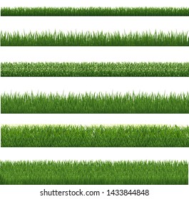 Green Grass Border And White Background, Vector Illustration