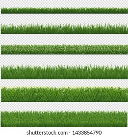 Green Grass Border And White Background, Vector Illustration