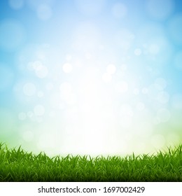 Green Grass Border White Background With Gradient Mesh, Vector Illustration