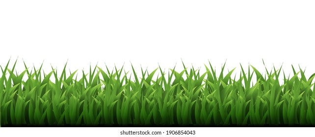 Green Grass Border White Background, Vector Illustration