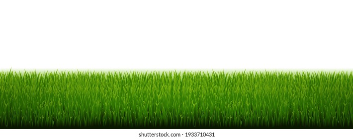 Green Grass Border With White Background With Gradient Mesh, Vector Illustration