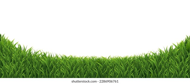 Green Grass Border With White Background With Gradient Mesh, Vector Illustration
