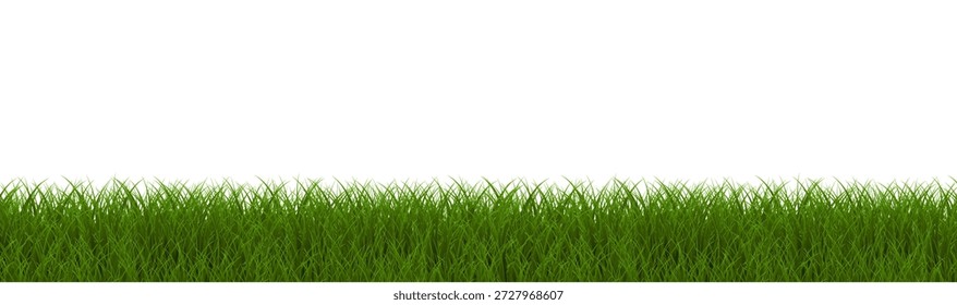 Frontera De Hierba Verde Blanco Con Fondo Blanco, Ilustración vectorial