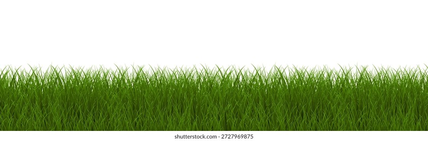 grüner Grasrand mit weißem Hintergrund