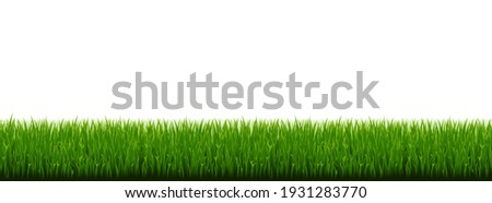 Similar – Image, Stock Photo green grass and white flowers near yellow old building wall