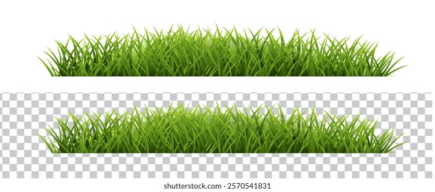 Green Grass Border With White And Transparent Background, Vector Illustration