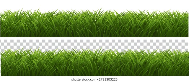 Borda De Grama Verde E Fundo Branco E Transparente, Ilustração De Vetor