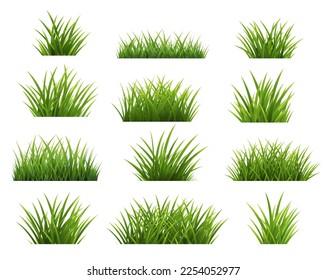Colección De Bordes De Grasa Verde Fondo Blanco Aislado Con Malla De Gradiente, Ilustración Vectorial