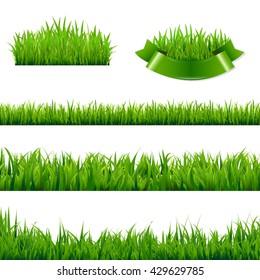 Green Grass Borders Collection, , Isolated  Background, Vector Illustration