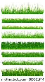 Green grass borders collection over white. Vector illustration