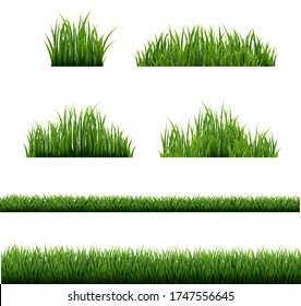 Green Grass Borders Collection White Background, Vector Illustration