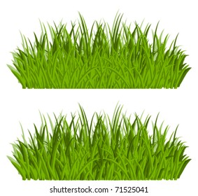 Green grass borders isolated on white background