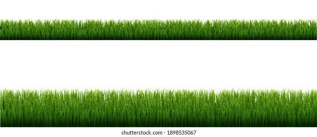 Green Grass Borders With Isolated White Background With Gradient Mesh, Vector Illustration