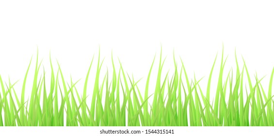 Green Grass Borders on white, Vector Illustration