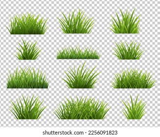 Green Grass Borders Set Isolated Transparent Background With Gradient Mesh, Vector Illustration