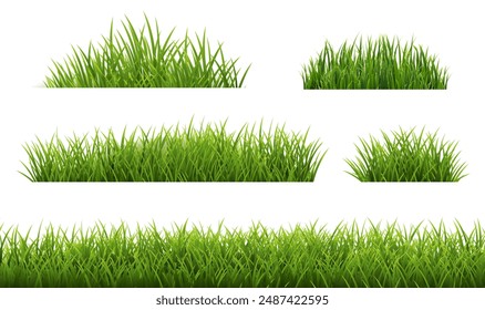 Green Grass Borders Set Isolated White Background With Gradient Mesh, Vector Illustration