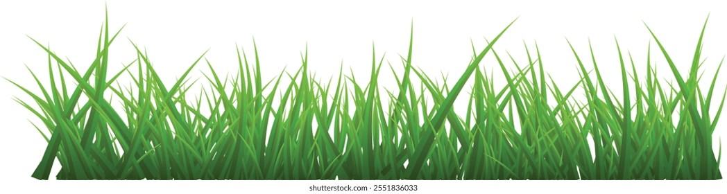 Grüne Grasränder einzeln auf weißem Hintergrund, Vektorgrafik, flacher Stil. grünes Blatt. Grasgrafik einzeln auf weißem Hintergrund