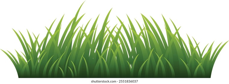 Green Grass Borders Set Isolated on White Background, Vector Illustration, flat style. green leaf. Grass illustration isolated on white background