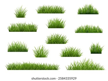 Green Grass Borders Set Isolated With Gradient Mesh, Vector Illustration