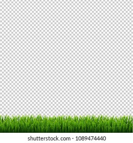 Grüne Grasgrenzen Transparenter Hintergrund mit Farbverlauf-Mesh, Vektorgrafik