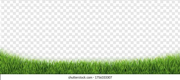 Green Grass Borders With Transparent Background With Gradient Mesh, Vector Illustration