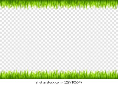 Green grass borders. Vector illustration.