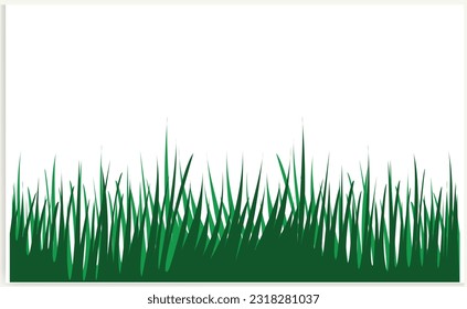 Green Grass Borders  Vector Illustration