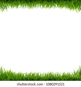 Grüne Grasgrenzen, weißer Hintergrund mit Farbverlauf-Mesh, Vektorgrafik