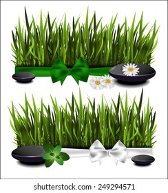 Green grass with a bow on a white background.