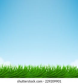 Green grass and bright blue sky. Vector background
