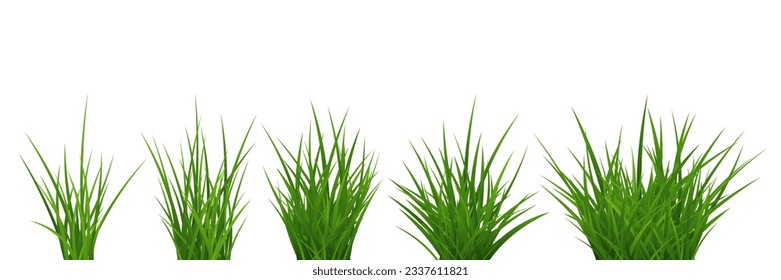Green grass bunch set isolated on white background. Vector