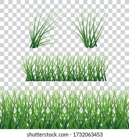 Green grass, bush of grass, isolated, vector illustration.