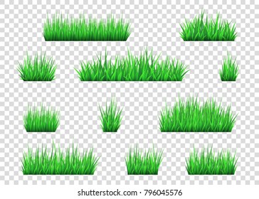 Green grass and bushes isolated on transparent  background. Vector texture.