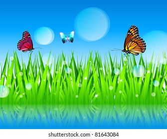 Green grass, butterfly and blue sky - vector