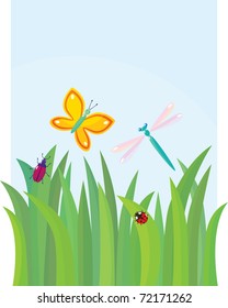 Green grass with butterfly, dragon-fly, beetle and lady-bird