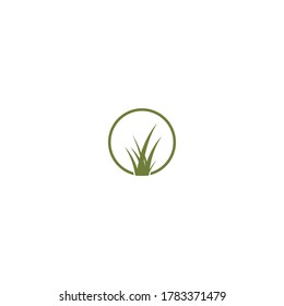 green grass care logo design