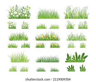 Green grass. Cartoon horizontal grass texture, farm and garden green border elements. Vector isolated set