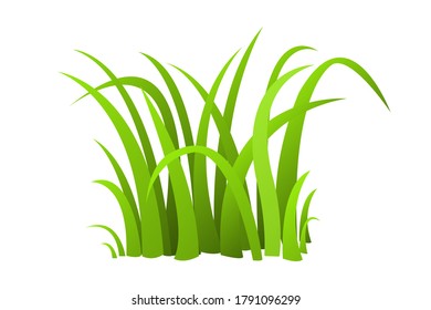 Green grass cartoon illustration. Herb. Fresh plants. Nature.