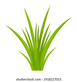 Green grass in cartoon style, bright herb isolated on white background. Season natural wild plant, design element, game asset. 